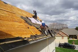 Best Roof Moss and Algae Removal  in Mcchord Af, WA